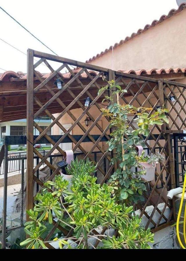 Appartamento Sady'S House Yimnon Esterno foto